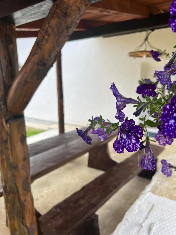 Apartman Djak Plitvička Jezera Exterior foto